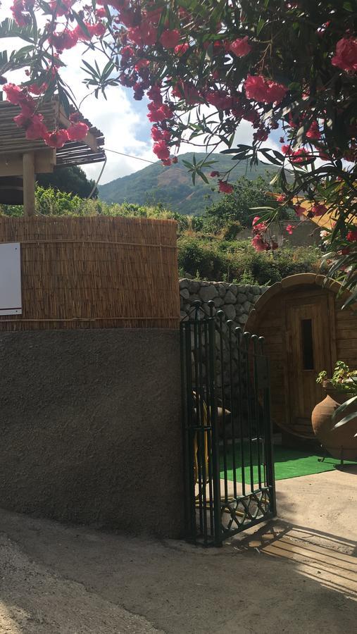 Residence Villa Cristina Forio di Ischia Dış mekan fotoğraf