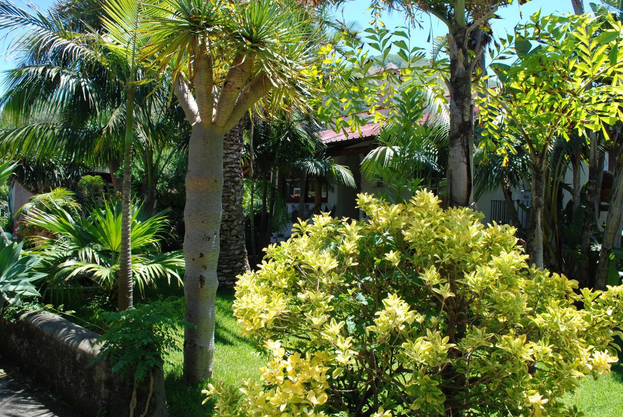 Residence Villa Cristina Forio di Ischia Dış mekan fotoğraf